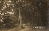 On the bluff of Lake Michigan